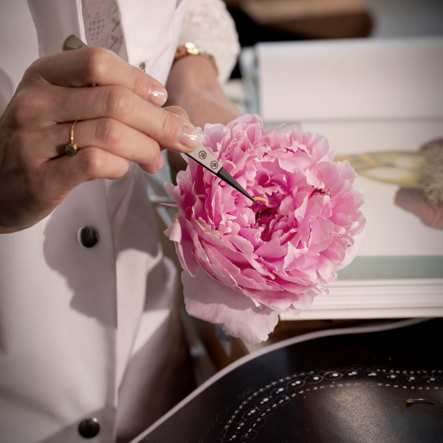 MEET OUR ARTISANS From expertise to emotion ショパールの誇り高き職人たち(1)―Chopard(ショパール)